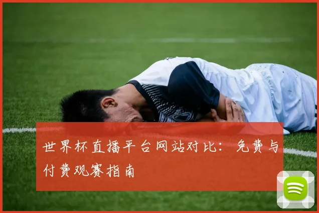世界杯直播平台网站对比：免费与付费观赛指南