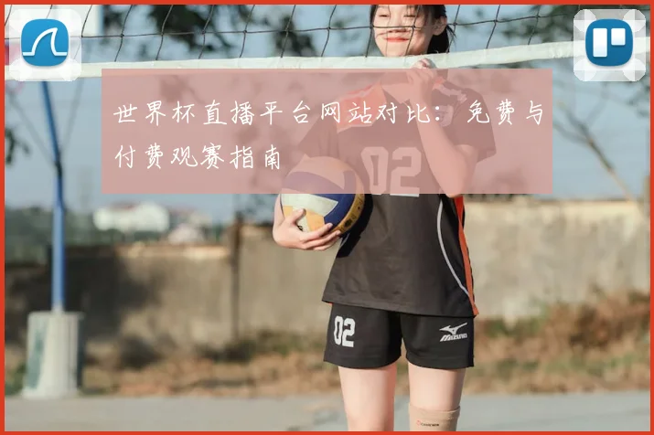 世界杯直播平台网站对比：免费与付费观赛指南